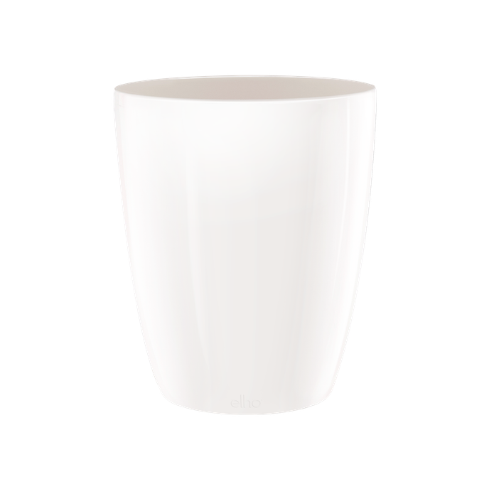 brussels diamond orchidee hoch 12,5cm weiss